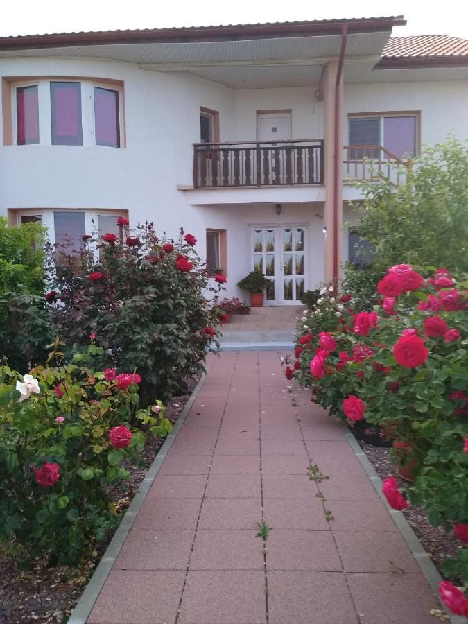 Hotel Casa Doina Douăzeci şi Trei August Exteriér fotografie