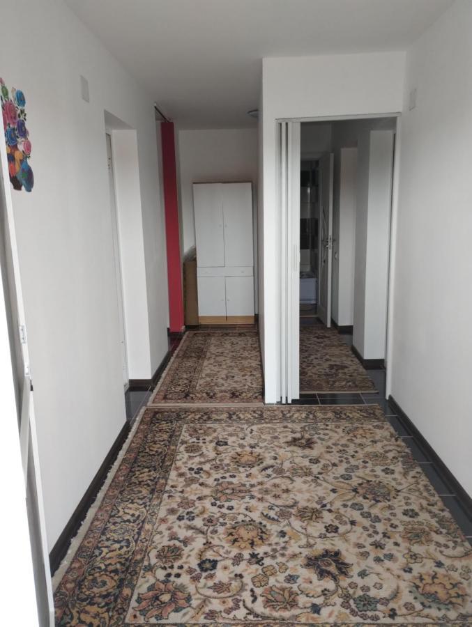 Hotel Casa Doina Douăzeci şi Trei August Exteriér fotografie