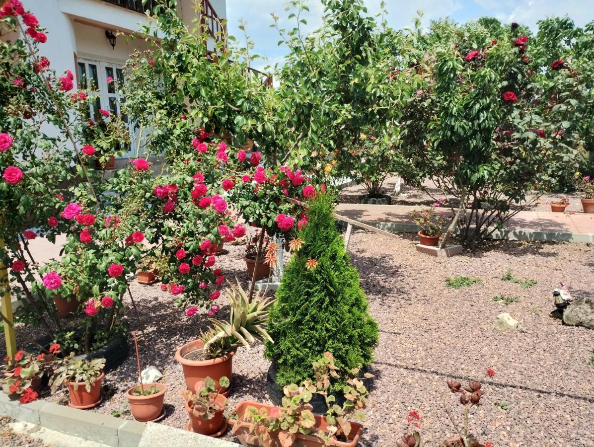 Hotel Casa Doina Douăzeci şi Trei August Exteriér fotografie