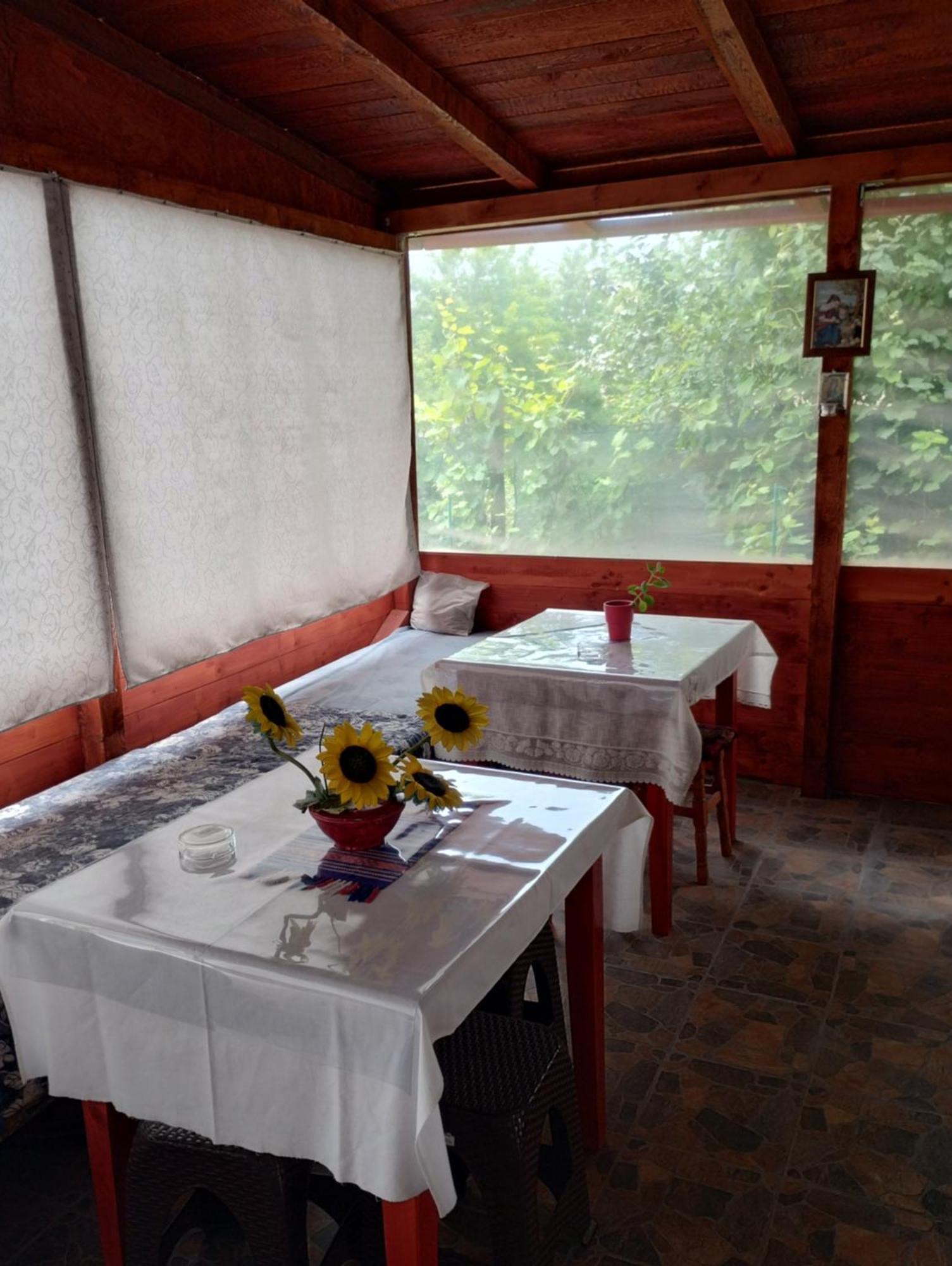 Hotel Casa Doina Douăzeci şi Trei August Exteriér fotografie