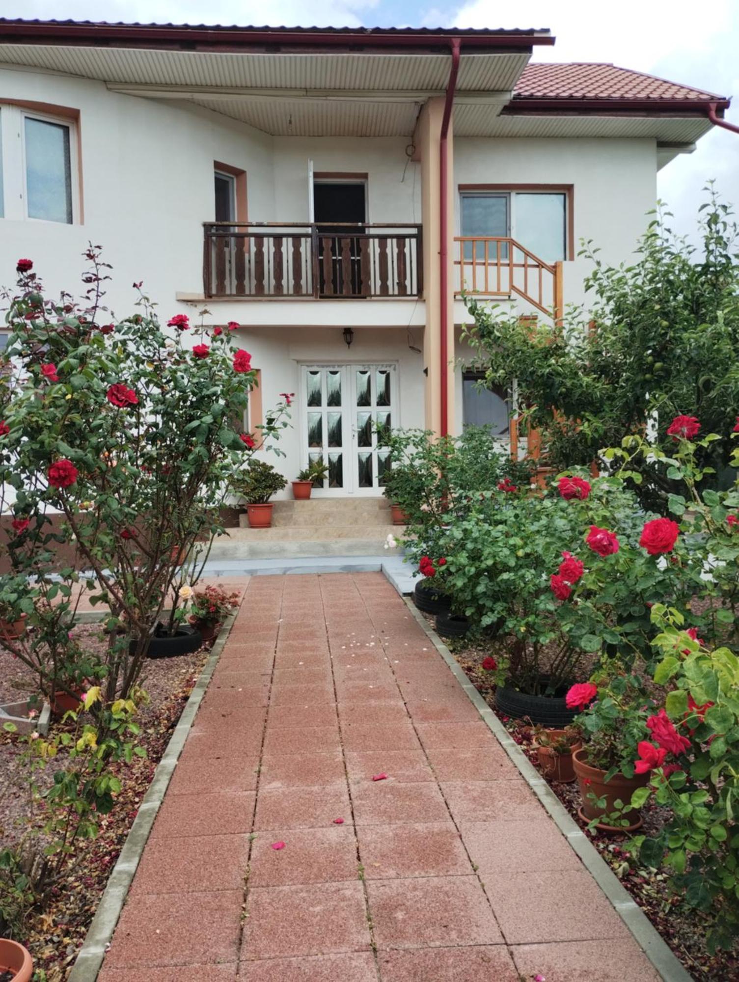 Hotel Casa Doina Douăzeci şi Trei August Exteriér fotografie